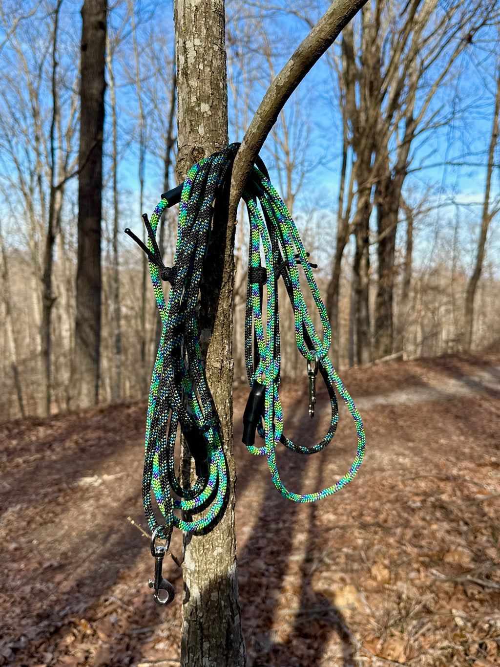 The Mentor Leash