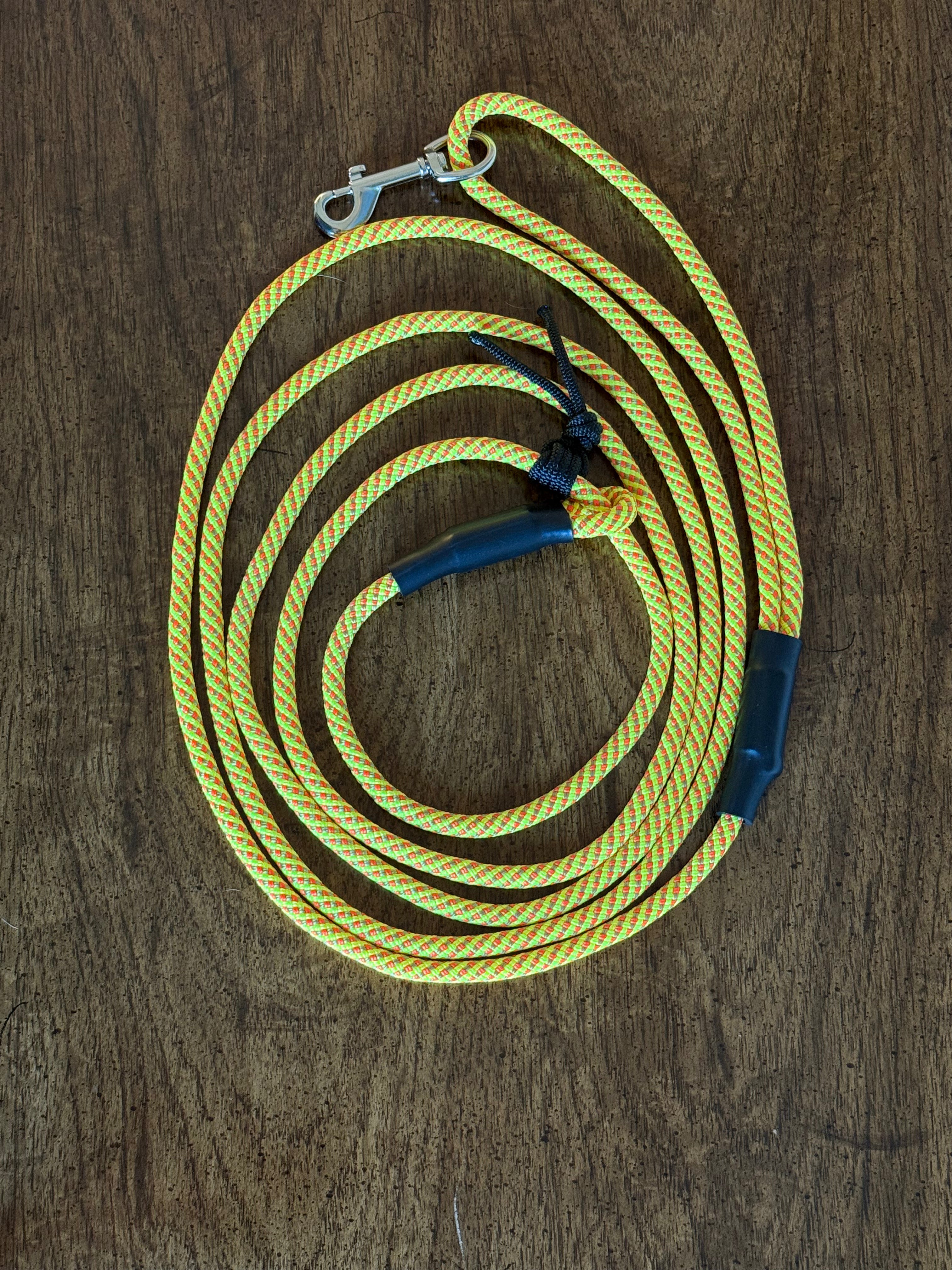 The Mentor Leash