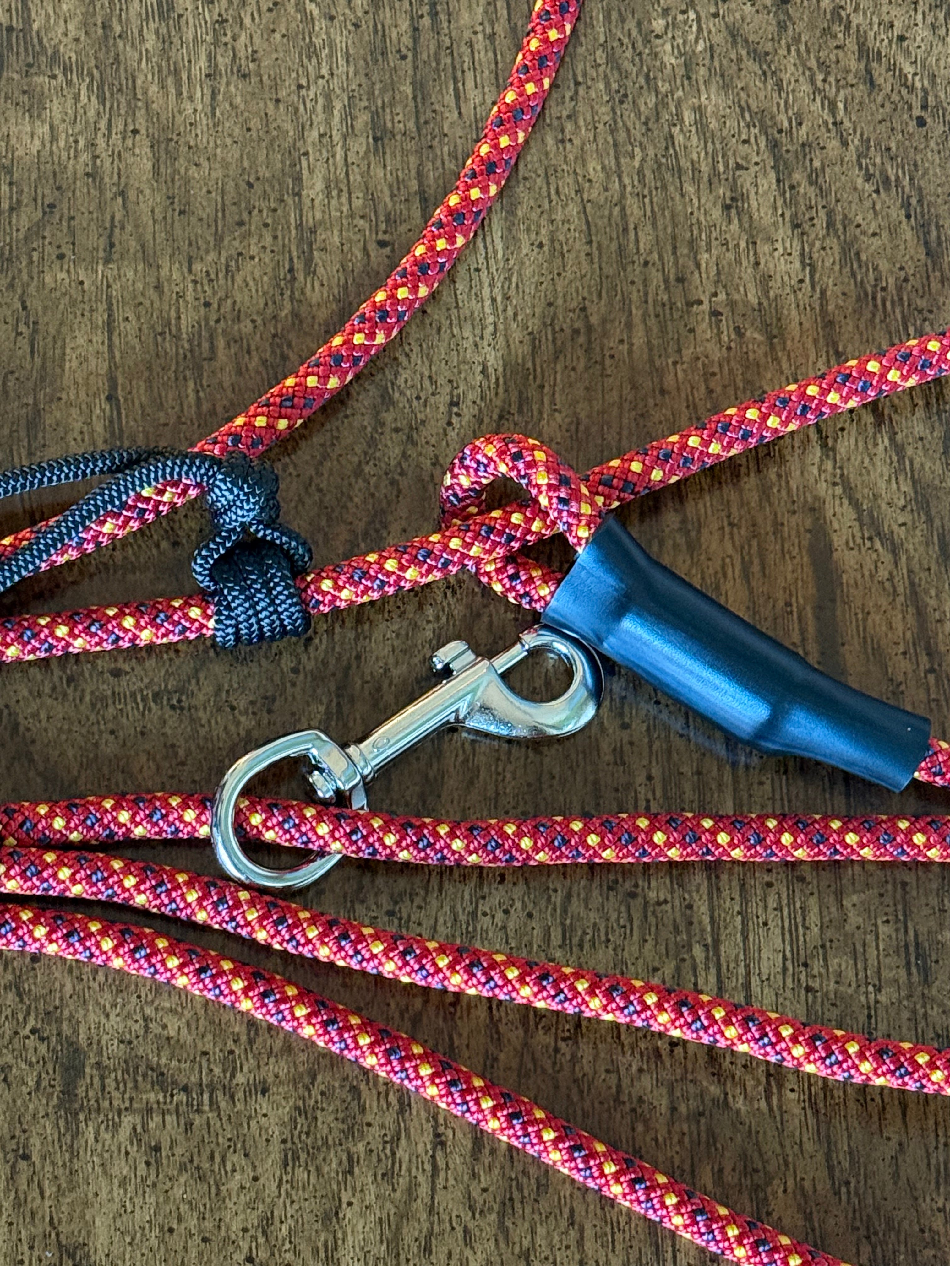 The Mentor Leash