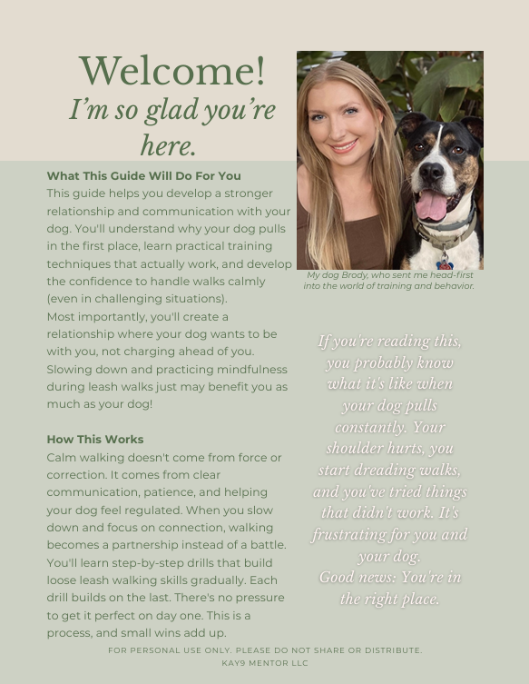 Calm Walks (E-guide)