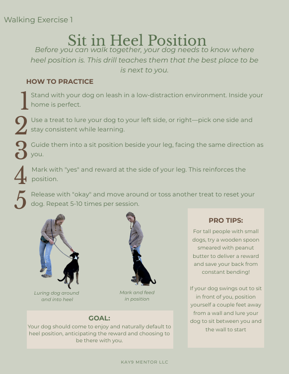 Calm Walks (E-guide)